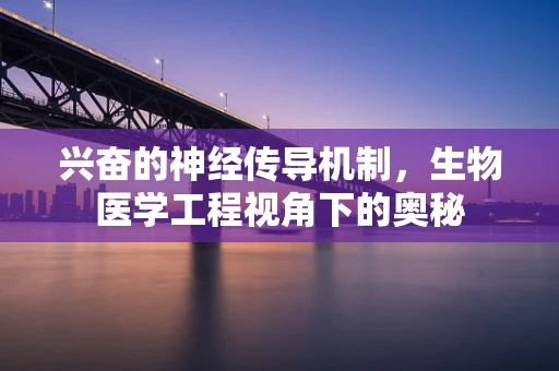 兴奋的神经传导机制，生物医学工程视角下的奥秘