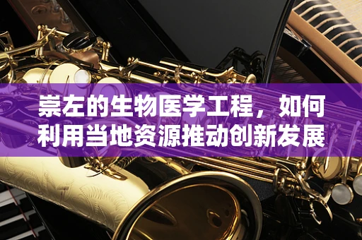 崇左的生物医学工程，如何利用当地资源推动创新发展？