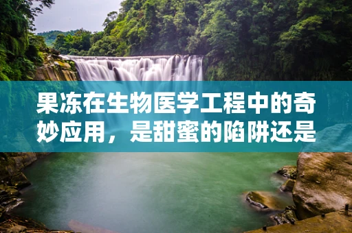 果冻在生物医学工程中的奇妙应用，是甜蜜的陷阱还是创新的起点？