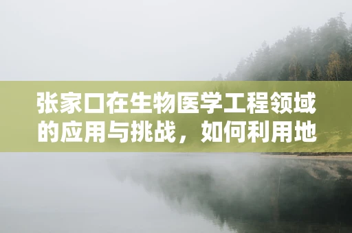 张家口在生物医学工程领域的应用与挑战，如何利用地域优势推动创新？