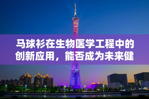 马球衫在生物医学工程中的创新应用，能否成为未来健康监测的智能T恤？