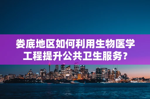 娄底地区如何利用生物医学工程提升公共卫生服务？