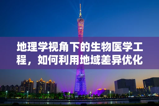 地理学视角下的生物医学工程，如何利用地域差异优化医疗资源分配？