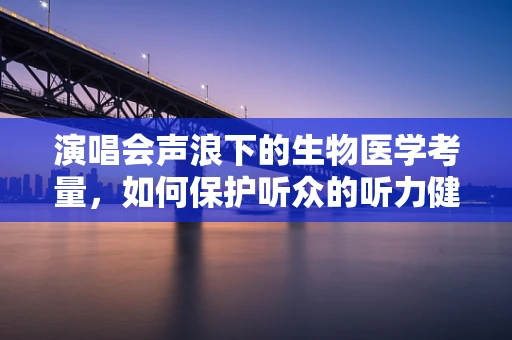 演唱会声浪下的生物医学考量，如何保护听众的听力健康？