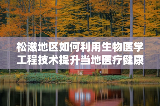松滋地区如何利用生物医学工程技术提升当地医疗健康水平？