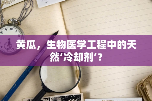 黄瓜，生物医学工程中的天然‘冷却剂’？