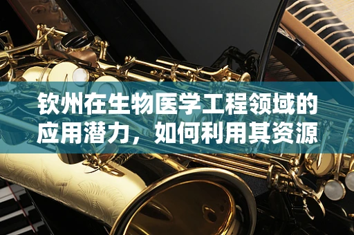 钦州在生物医学工程领域的应用潜力，如何利用其资源优势促进医疗创新？