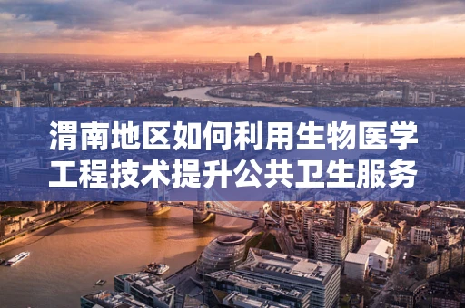 渭南地区如何利用生物医学工程技术提升公共卫生服务效率？