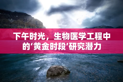 下午时光，生物医学工程中的‘黄金时段’研究潜力