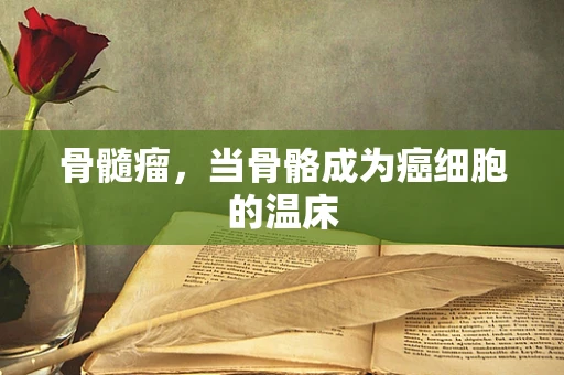 骨髓瘤，当骨骼成为癌细胞的温床