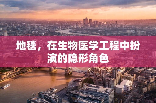 地毯，在生物医学工程中扮演的隐形角色