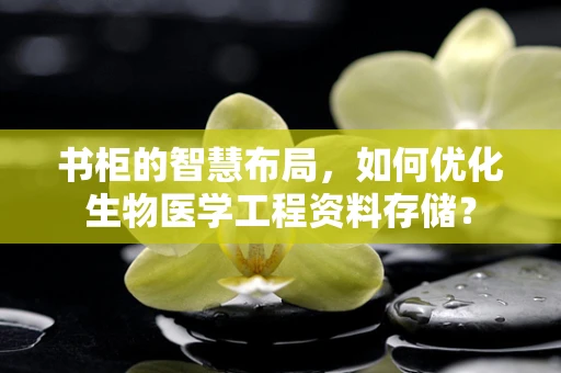 书柜的智慧布局，如何优化生物医学工程资料存储？