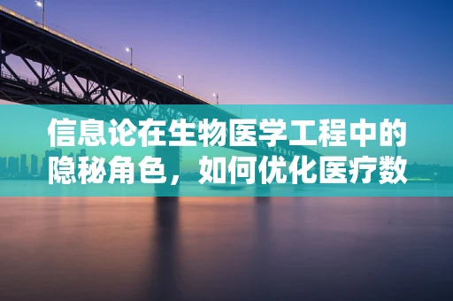 信息论在生物医学工程中的隐秘角色，如何优化医疗数据传输效率？