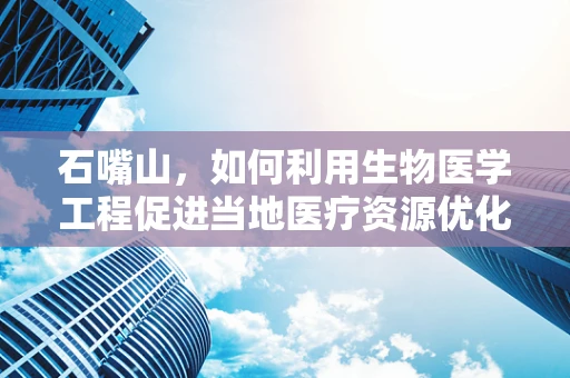 石嘴山，如何利用生物医学工程促进当地医疗资源优化？