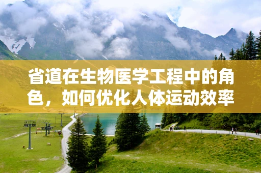 省道在生物医学工程中的角色，如何优化人体运动效率的‘高速公路’？