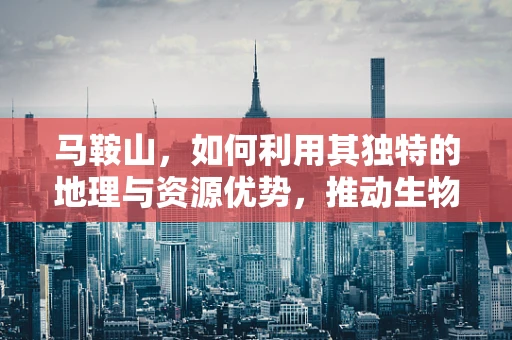 马鞍山，如何利用其独特的地理与资源优势，推动生物医学工程创新发展？