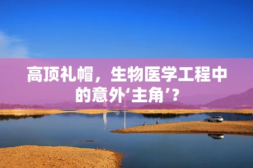 高顶礼帽，生物医学工程中的意外‘主角’？