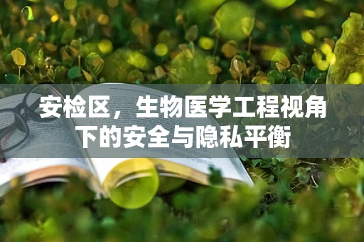 安检区，生物医学工程视角下的安全与隐私平衡