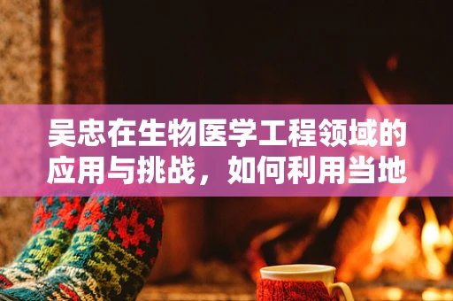 吴忠在生物医学工程领域的应用与挑战，如何利用当地资源推动创新？