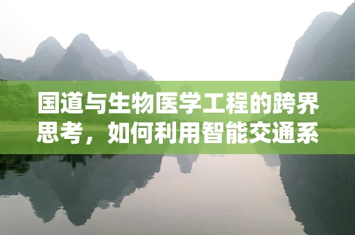 国道与生物医学工程的跨界思考，如何利用智能交通系统优化医疗资源分配？