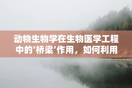 动物生物学在生物医学工程中的‘桥梁’作用，如何利用动物模型推动医学进步？
