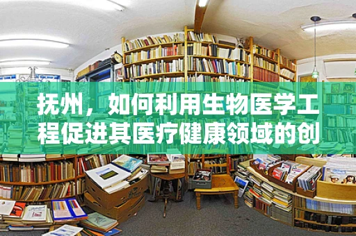 抚州，如何利用生物医学工程促进其医疗健康领域的创新发展？