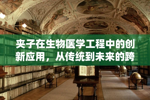 夹子在生物医学工程中的创新应用，从传统到未来的跨越