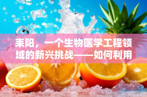 耒阳，一个生物医学工程领域的新兴挑战——如何利用当地资源优化医疗设备供应链？