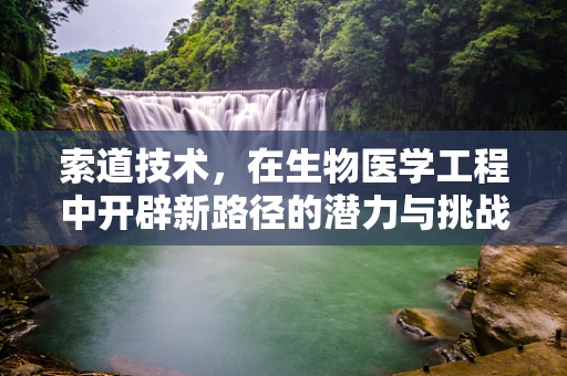 索道技术，在生物医学工程中开辟新路径的潜力与挑战？