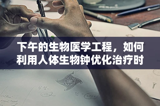 下午的生物医学工程，如何利用人体生物钟优化治疗时间？