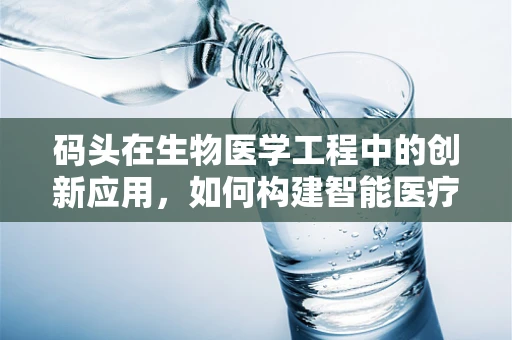 码头在生物医学工程中的创新应用，如何构建智能医疗物资的海港？