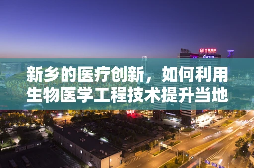 新乡的医疗创新，如何利用生物医学工程技术提升当地公共卫生服务？