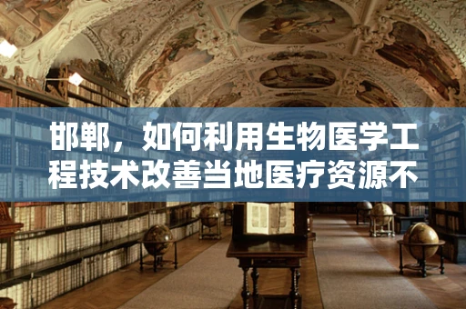 邯郸，如何利用生物医学工程技术改善当地医疗资源不均？