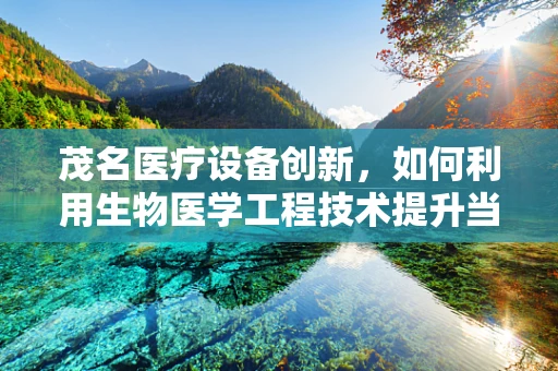 茂名医疗设备创新，如何利用生物医学工程技术提升当地医疗服务？