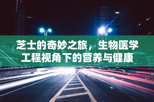 芝士的奇妙之旅，生物医学工程视角下的营养与健康
