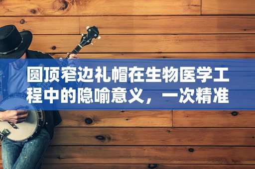 圆顶窄边礼帽在生物医学工程中的隐喻意义，一次精准与美学的探索