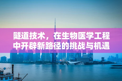 隧道技术，在生物医学工程中开辟新路径的挑战与机遇？