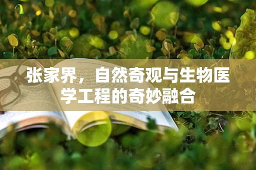 张家界，自然奇观与生物医学工程的奇妙融合