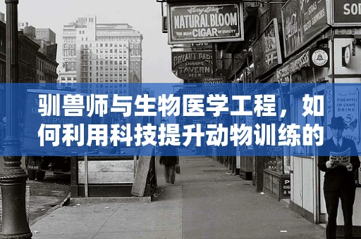 驯兽师与生物医学工程，如何利用科技提升动物训练的效率与安全性？