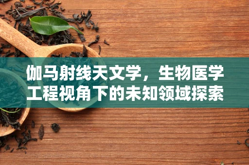 伽马射线天文学，生物医学工程视角下的未知领域探索