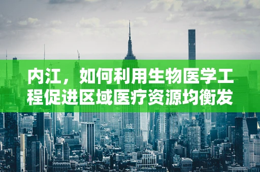 内江，如何利用生物医学工程促进区域医疗资源均衡发展？