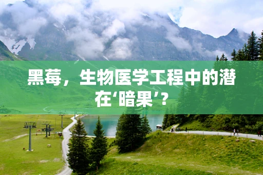 黑莓，生物医学工程中的潜在‘暗果’？