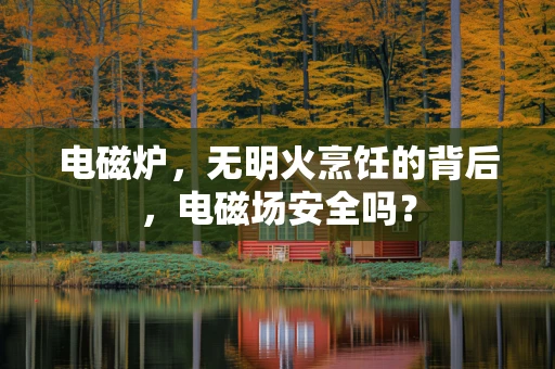 电磁炉，无明火烹饪的背后，电磁场安全吗？