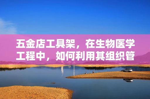 五金店工具架，在生物医学工程中，如何利用其组织管理思维？