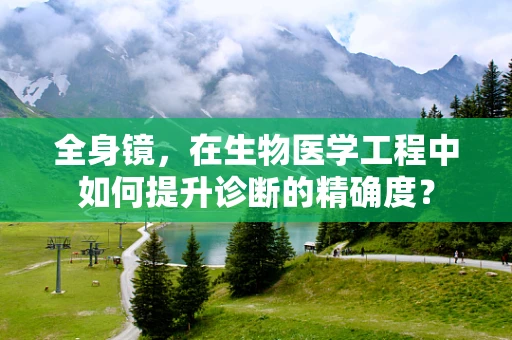 全身镜，在生物医学工程中如何提升诊断的精确度？