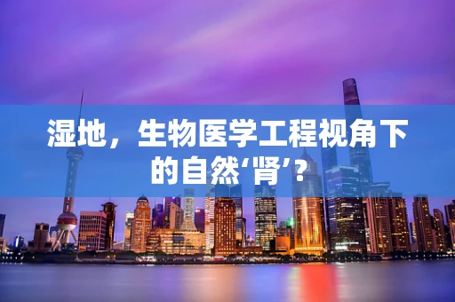 湿地，生物医学工程视角下的自然‘肾’？