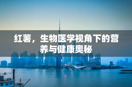 红薯，生物医学视角下的营养与健康奥秘