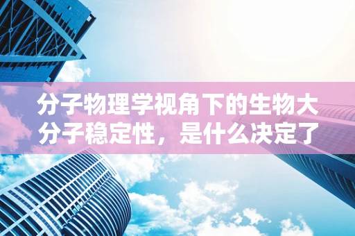 分子物理学视角下的生物大分子稳定性，是什么决定了它们的持久性？