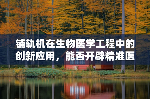 铺轨机在生物医学工程中的创新应用，能否开辟精准医疗的新路径？