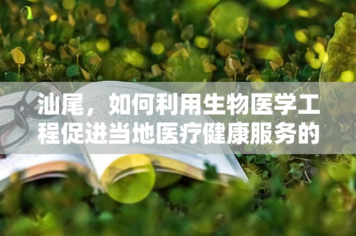 汕尾，如何利用生物医学工程促进当地医疗健康服务的创新与升级？